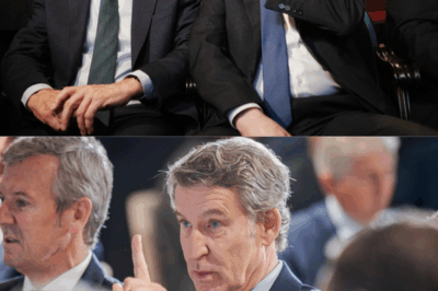 Un aviso… envuelto en elegancia, pero afilado como una daga. Mariano Rajoy irrumpe con un mensaje directo para Feijóo: “Moderantismo”. Nada de espejos, nada de extremos. Un recordatorio frío de que a un radical no se le combate con otro radical… sino con cabeza. Pero detrás de sus palabras hay algo más: ¿una advertencia, una corrección pública… o un movimiento para frenar la deriva del partido?(hh)