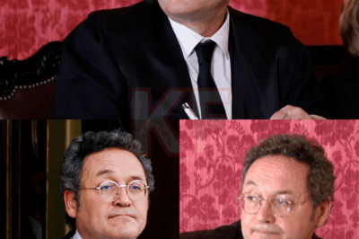 El terremoto institucional sacude España: el Fiscal General del Estado ha presentado su dimisión inmediatamente después de la polémica sentencia del Tribunal Supremo. En un escrito cargado de tensión, asegura haber actuado siempre con “lealtad” hacia la institución, mientras el país observa con asombro cómo se tambalean los cimientos del poder judicial. Políticos, jueces y ciudadanos reaccionan ante lo que muchos califican como un punto de inflexión que puede cambiar el panorama judicial y político de forma dramática.