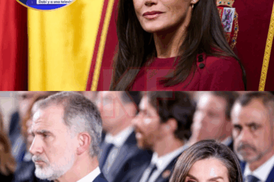 Nadie esperaba ese gesto… ni siquiera los expertos que siguen a la Casa Real cada día. En la entrevista en Francia, el gesto sutil pero lleno de intención del Rey hacia Letizia hizo que el especialista de TVE exclamara que “ya era un poco excesivo”. Y lo que dijo después, entre pausas y vacilaciones, dejó la sensación de que había algo que aún no se estaba contando.