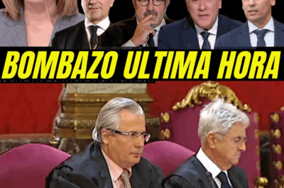 El estallido judicial que sacude a España: la filtración imposible, el cambio misterioso del ponente y las acusaciones de parcialidad que Baltasar Garzón lanza contra el Tribunal Supremo en un caso que podría terminar anulado y destapar un entramado de influencias, silencios incómodos y grietas estructurales heredadas del franquismo.HH