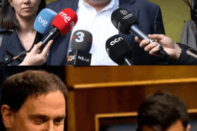 En cuestión de segundos, el exconseller encendió el panorama independentista al apuntar directamente hacia Oriol Junqueras |BV