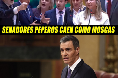Escabechina a peperas en la última sesión parlamentaria de 2025: acusaciones de corrupción, machismo y fuga del gobierno en un debate explosivo sobre la gestión de Sánchez y sus ministros.HH