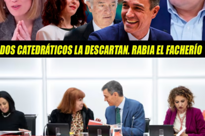 BOMBAZO POLÍTICO DE FIN DE AÑO: EL INFORME QUE ABSUELVE AL PSOE, DESCOLOCA A FEIJÓO Y DESATA LA IRA DE LA FACHOSFERA MIENTRAS LA DERECHA PIERDE SU GRAN RELATO.HH