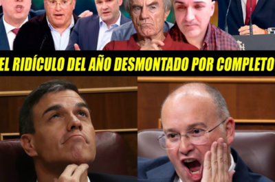 Golpe maestro al PP: Royo, Sánchez y Bosch desmontan el relato del pucherazo, dejan en evidencia a Tellado, Feijóo y Guardiola y denuncian una peligrosa estrategia trumpista que convierte un robo común en arma política para dinamitar la confianza democrática.HH