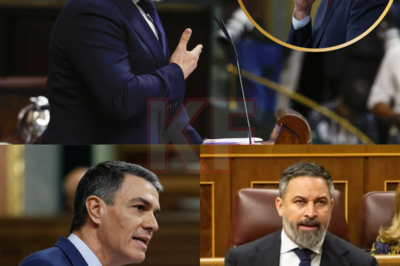¡Un espectáculo bochornoso en pleno centro del poder! Pedro Sánchez llamó a Abascal “racista” esperando cosechar aplausos, pero acabó recibiendo una respuesta que lo dejó en evidencia. No fue solo un cruce de acusaciones: fue una “lección pública” sobre coherencia, identidad y amor a España que descolocó al Gobierno. El ambiente se tensó, las caras cambiaron y el mensaje fue clarísimo: en política, no todo se puede decir sin pagar un precio.