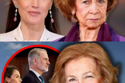 La reina Sofía sorprende con una decisión clave en Zarzuela justo mientras Felipe VI viaja a Egipto acompañado de Letizia: la emérita aprovecha la ausencia de la Reina consorte para dar un giro inesperado y definitivo a su papel dentro de la institución, en un movimiento que ya está generando rumores en Casa Real y fuera de ella.HH