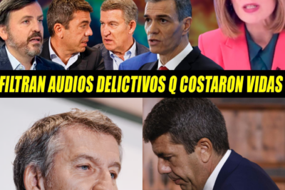 VARAPALO JUDICIAL A HAZTE OÍR Y ESCÁNDALO POLÍTICO EN LA DANA: Sánchez EXCLUIDO, Bomberos Reciben Orden de Retirada, Feijóo Acorralado y Mazón Bajo la Lupa Judicial Mientras La Sociedad Valenciana Exige Responsabilidades Claras y Verdad Tras La Tragedia.HH