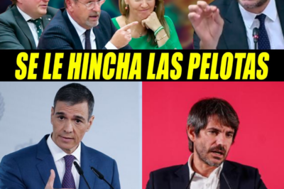 Urtasun estalla contra Vox en el Congreso, promete impedir que gobiernen, defiende la memoria democrática y lanza una onda expansiva que sacude al Partido Popular y vuelve a encender la guerra cultural en España.HH