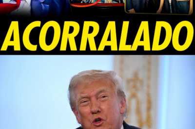 TRUMP Y LOS ARCHIVOS EPSTEIN: VUELOS OCULTOS, DOCUMENTOS DESAPARECIDOS Y ACUSACIONES QUE REABREN LA MAYOR SOMBRA DE SU PASADO POLÍTICO.HH