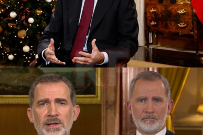 Algo en el discurso de Felipe VI de Nochebuena ha tocado una fibra sensible que nadie quiere nombrar abiertamente. El PP aplaude sin matices, PSOE y Vox guardan un silencio inquietante, y Podemos y ERC reaccionan con una dureza inédita. No es casualidad. Hay frases, gestos y mensajes implícitos que explican esta división tan desigual. ¿Qué se dijo realmente entre líneas? Las reacciones revelan más que el propio discurso…