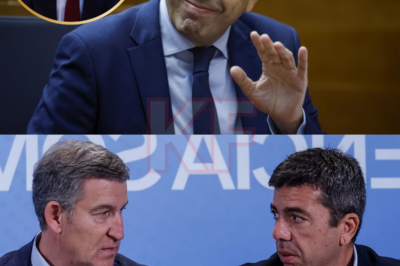 Una citación cayó como un rayo en el corazón de la política española: el juez del caso DANA citó a Feijóo como testigo. No por razones técnicas, sino por los “comentarios” que Mazón pudo haberle hecho durante las horas más tensas del estado de alarma. Los rumores sugerían que se trataba de una conversación que nunca debió ser escuchada, una declaración que, de confirmarse, podría revertir por completo la narrativa oficial de la época. ¿Por qué él? ¿Qué escuchó realmente? Y lo más importante: ¿por qué la gente tenía miedo de hablar? Los poderes contenían la respiración. Y con cada minuto que pasaba, la presión se intensificaba.