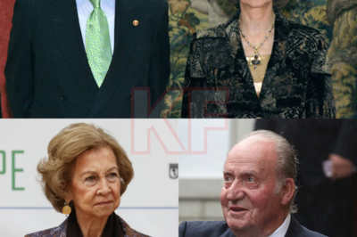 Incluso en los momentos más turbulentos, la Familia Real no habría esperado semejante gesto. En su 60.º aniversario de boda, Juan Carlos I, según se dice, le hizo una petición sorprendente y confusa a la reina Sofía. Los familiares quedaron boquiabiertos, guardaron silencio e intercambiaron miradas ante la inesperada acción. ¿Qué se escondía realmente tras la petición que estaba conmocionando a la monarquía española?