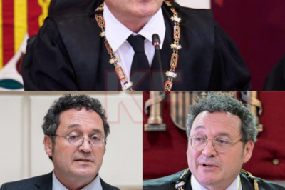 Una palabra, y todo cambia. Mientras expertos, políticos y medios de comunicación debatían interminablemente sobre la sentencia del Ministro de Justicia, un profesor de Derecho Constitucional solo necesitó una palabra para resumir todo el asunto. Una palabra corta, contundente, y casi imposible de refutar. La sala se quedó en silencio cuando habló: ¿Por qué eligió esa palabra en particular? ¿Y por qué causó tanta inquietud en la comunidad jurídica? La respuesta está en detalles que la sentencia nunca quiso que se supieran…