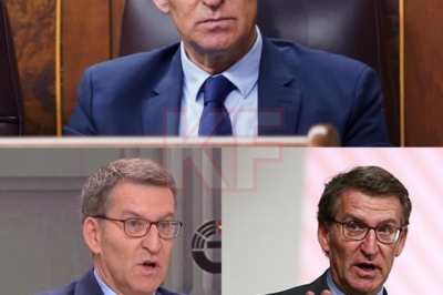 Todo vuelve al punto cero cuando un testimonio irrumpe y altera el relato oficial. La DANA de Valencia ya no es solo una tragedia climática, sino un espejo incómodo donde chocan versiones, silencios y responsabilidades difusas. Feijóo aparece en el encuadre mientras la justicia escucha y la opinión pública juzga antes de tiempo. No hay certezas cerradas, solo un recorrido tortuoso de datos parciales, tiempos que no encajan y decisiones que pesan. Cada declaración abre un pasillo nuevo en el laberinto. En platós y tribunales, la tensión crece; fuera, la memoria colectiva no olvida. ¿Quién dijo la verdad, quién la maquilló, quién llegó tarde? La respuesta no es lineal. Y mientras el foco gira, la pregunta persiste, más incómoda que nunca.