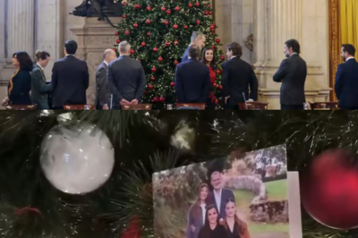 Nadie esperaba que un simple árbol de Navidad escondiera tanto. El vídeo difundido por la Casa Real ha destapado un detalle íntimo en la Zarzuela que ha hecho hablar a todos: un adorno fuera de protocolo, cargado de recuerdos y emoción, que habría conmovido profundamente a Felipe VI y a la reina Letizia. Un gesto pequeño, pero con un significado enorme.(hh)