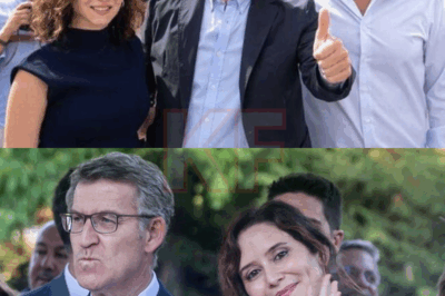 El Partido Popular ha sacudido el panorama político con un mensaje que no dejó a nadie indiferente. Tras celebrar la sentencia contra el Fiscal General, el partido aprovechó el momento para lanzar unas declaraciones contundentes —y sorprendentemente directas— sobre Isabel Díaz Ayuso. El tono del comunicado desató una ola de reacciones que fue desde los aplausos hasta la indignación absoluta, mientras en los pasillos del poder resonaban susurros que muchos ya interpretan como un posible punto de inflexión en el tablero político de España.