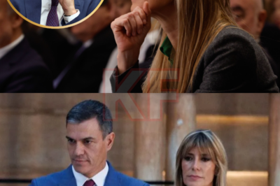 Un terremoto judicial ha estallado en Madrid: Los jueces han lanzado un ataque sorpresa contra Pedro Sánchez y Begoña Gómez, abriendo archivos de alto secreto que amenazan con exponer las poderosas conexiones de la Moncloa. Entre filtraciones, presiones y testimonios impactantes, la crisis se ha descontrolado, y el presidente del Gobierno podría estar afrontando el momento más peligroso de su carrera.