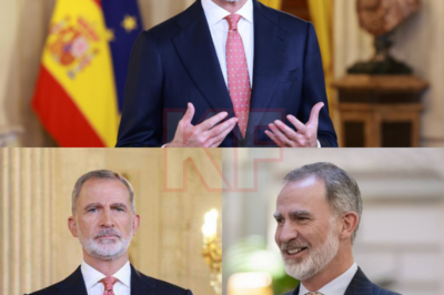En una acción sin precedentes, el rey Felipe inesperadamente trazó límites infranqueables en su discurso de Nochebuena. ¿Se trataba de un recordatorio institucional o de un mensaje publicitario específico? El contexto hizo que cada palabra cobrara más fuerza que nunca.