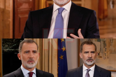 Lo que debía unir en Nochebuena terminó dividiendo al país. El discurso navideño del Rey ha sido calificado por muchos como el peor de su reinado: frases ambiguas, silencios incómodos y mensajes que llegaron tarde —o nunca— a quienes más los esperaban. Las críticas no tardaron en estallar y la sensación de desconexión se extendió por todo el espectro político. ¿Error histórico o punto de no retorno para la Corona? La reacción social lo dice todo.