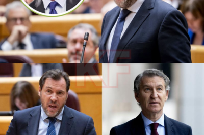 Óscar Puente destapó y sacó a la luz un grave escándalo que involucraba a Feijóo, justo en el delicado contexto legal que se presentaba ante el juez en torno al caso DANA. No se trataba solo de rumores ocultos, sino de un detalle con un peso legal considerable, suficiente para conmocionar a la opinión pública y plantear una pregunta clave: ¿cuánto más se está ocultando y por qué se revela en este momento?