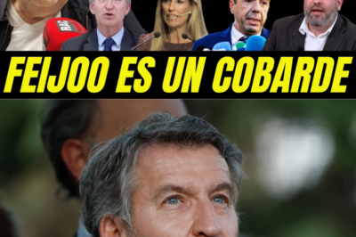 Ekaizer estalla y acusa: “Feijóo incumple la ley” mientras la jueza de la DANA estrecha el cerco, los WhatsApps contradicen el relato oficial y la sombra de la cobardía política sacude al PP.HH