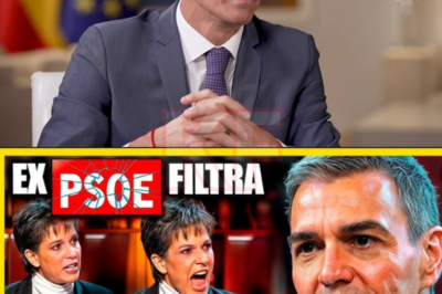 Nadie lo esperaba. Ni siquiera dentro del partido. Un exmiembro del PSOE rompió el silencio con una declaración que sacudió a La Moncloa. No fue una acusación directa. No fue un ataque público. Pero mucho más preocupante: datos, recuerdos y decisiones que, según esta persona, nunca debieron mencionarse. Susurros, llamadas urgentes y una sola pregunta flotaban en los pasillos políticos: ¿era esto solo una advertencia… o el comienzo de un colapso irreversible?