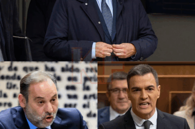 La tensión vuelve a dispararse. José Luis Ábalos ha lanzado un nuevo dardo directo a Moncloa, esta vez utilizando la voz de su hijo Víctor para hacerlo. El mensaje, contundente y cargado de intención, ha generado un terremoto político que muchos no vieron venir. ¿Qué significa este movimiento y hasta dónde puede llegar el desafío del exministro? La respuesta promete sacudir el tablero.