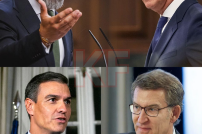 Feijóo rompe el silencio y lanza un ultimátum que sacude el tablero político. Abascal recibe el mensaje, Sánchez siente la presión. Nada se dice en público, pero todo se negocia en las sombras. Alianzas tensas, amenazas veladas y un reloj que corre en contra del poder. ¿Es el inicio de una nueva ofensiva o el último aviso antes del choque final? Lo que está en juego es mucho más de lo que parece.