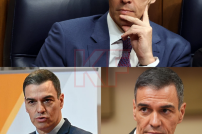 Pedro Sánchez se enfrenta ahora al peor momento de su carrera política: una investigación oficial está más cerca que nunca. Las señales de alarma han empezado a sonar desde múltiples frentes y, dentro del propio Gobierno, ya se percibe una inquietud imposible de disimular. Pero lo más impactante no es la investigación… sino la estrategia inesperada que Sánchez estaría poniendo en marcha para retrasarla o incluso esquivarla. El backstage político de Madrid arde — y esto no ha hecho más que empezar.