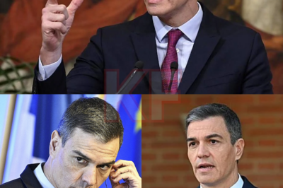 En plena Nochebuena, mientras el país miraba hacia otro lado, Pedro Sánchez firmó un decreto que ha encendido todas las alarmas. Sin debate, sin explicaciones claras y en el momento más delicado del año. El contenido, el contexto y el silencio posterior han levantado sospechas incluso entre sus propios aliados. ¿Por qué hacerlo así? ¿Qué urgencia real lo justificaba? Cuando las decisiones se toman en la sombra, las consecuencias suelen llegar después… y no siempre son reversibles.