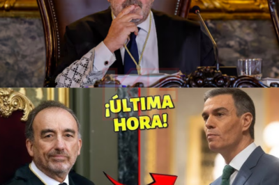 Una bomba estalla en el corazón del Estado. Una revelación interna señala al Tribunal Supremo por posibles actuaciones que habrían condicionado decisiones políticas clave. No se trata de una crítica externa, sino de una acusación surgida desde dentro del propio sistema judicial, abriendo una grieta sin precedentes en la institución más poderosa de la justicia española. El impacto es inmediato y amenaza con desatar la mayor tormenta institucional de los últimos años.