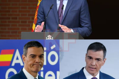Nueva ley polémica publicada hoy en el BOE y las alarmas ya están encendidas. El Gobierno de Pedro Sánchez ha sacado adelante una norma que muchos califican de dañina, improvisada y con efectos reales sobre ciudadanos y empresas. No es un ajuste técnico ni una reforma menor: sus consecuencias empiezan a notarse desde el primer día. La pregunta ya no es por qué se aprobó, sino quién pagará el precio político y social de esta decisión.