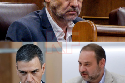 Alarma máxima en el corazón del poder. José Luis Ábalos ha señalado a Pedro Sánchez por una acusación de extrema gravedad que ya está siendo analizada por el Tribunal Supremo. No se trata de rumores ni de ruido político: el caso ha entrado en el terreno judicial. Silencios, nerviosismo y movimientos discretos marcan un momento crítico. ¿Hasta dónde puede llegar esta causa? Cuando una denuncia llega al Supremo, nada vuelve a ser igual.