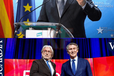 La posibilidad parece impensable… pero algo se está moviendo entre bastidores. En las últimas horas, ha empezado a circular la sospecha de un acuerdo oculto entre el PP y Junts con un objetivo explosivo: empujar a España a nuevas elecciones. Nadie confirma nada, todos callan, y precisamente ese silencio alimenta aún más la inquietud. ¿Está el país ante una jugada política inédita… o ante la maniobra más arriesgada del año?