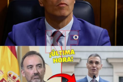 Una revelación inesperada ha hecho tambalear a todo el sistema judicial de España. Una nueva acusación —presentada ante la autoridad competente— ha desatado una ola de debate y ha dejado atónita a la opinión pública de todo el país. El ámbito jurídico está conmocionado, los partidos políticos guardan un silencio inusualmente estricto y los medios de comunicación investigan contrarreloj en busca de pistas. ¿Qué está ocurriendo realmente dentro de los muros del máximo órgano judicial?