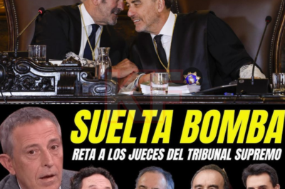 No fue un político ni un juez, sino un veterano periodista de investigación quien hizo temblar los cimientos del sistema judicial. En una declaración inesperada, lanzó un desafío directo al Tribunal Supremo, cuestionando la autenticidad de una parte del expediente del caso del fiscal general con un comentario que dejó a todo el entorno mediático en un silencio absoluto y provocó un terremoto político sin precedentes en España.
