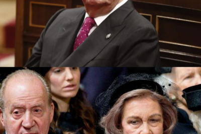 Se fue en silencio… pero sabía demasiado. Gaudencio Fernández, el chófer de máxima confianza del rey Juan Carlos, ha fallecido a los 101 años tras décadas moviéndose entre motores, pasillos y secretos de Zarzuela. Fue más que un conductor: testigo discreto de viajes, confidencias y momentos que nunca salieron a la luz. Hoy se apaga una figura clave de la sombra real. ¿Qué historias se llevó consigo… para siempre?(hh)