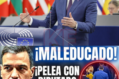 SORPRESA EN EL PARLAMENTO EUROPEO: Sin micrófonos, sin debate, sin respuesta. Pedro Sánchez fue derrotado por un eurodiputado alemán en pleno escenario de Bruselas, un momento que dejó a toda la sala sin palabras.