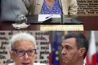 Nadie lo esperaba… ni siquiera dentro del propio partido. En una declaración que dejó a todos en silencio, una empresaria afirmó haber entregado dinero en efectivo directamente al PSOE de Pedro Sánchez, “llevándolo en el bolso”, según sus propias palabras. Lo que parecía un simple testimonio administrativo se transformó en un giro inesperado: detalles contradictorios, reuniones discretas y una cadena de decisiones que ahora muchos quieren volver a revisar.