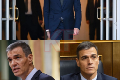 Lo que parecía un movimiento perfectamente calculado… acaba de desmoronarse en cuestión de horas. La estrategia con la que Pedro Sánchez buscaba asegurar su continuidad ha sufrido un golpe inesperado, y esta vez no ha venido de la oposición, sino de los propios tribunales. Una resolución judicial, breve pero demoledora, ha cerrado de un portazo la vía que el Gobierno creía tener bajo control… Y ahora, en los pasillos del poder, todos se preguntan lo mismo: ¿qué ocurrirá cuando se abra el próximo capítulo?