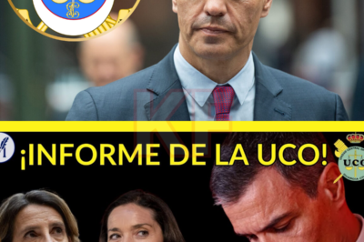 Un nuevo documento de investigación de la UCO (Unidad de Prevención del Crimen Organizado) acaba de ser presentado ante el tribunal y ha sacudido de inmediato el panorama político español. Aunque aún no se ha publicado el contenido completo, las evaluaciones iniciales de la UCO han generado inquietud entre los diputados, tanto de la oposición como del gobierno. La pregunta clave ahora es: ¿a quién se dirige el informe y qué revela sobre los controvertidos acuerdos alcanzados durante el mandato de Sánchez?