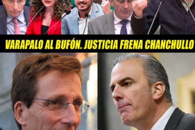 El “zasca” político del año: una intervención fulminante arrasa a Ortega Smith, deja en evidencia al alcalde Almeida y destapa una cadena de negligencias, corrupción y abandono que asfixian Madrid.HH