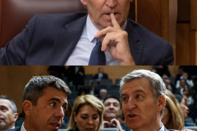 Esto no fue un discurso, sino una herida abierta en plena Navidad. El hijo de una víctima de la tragedia de DANA miró directamente a la cámara y se dirigió a Feijóo con una declaración que ahogó a los espectadores: Sin fanfarrias, sin eslóganes, solo emoción cruda, recuerdos y dolor no sanado durante las fiestas. Un video corto, pero más impactante que cualquier discurso político.