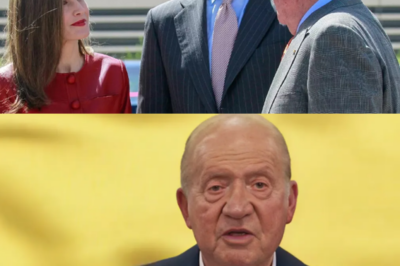 El vídeo no debía salir… pero ya es demasiado tarde. La grabación inesperada de Don Juan Carlos, instando a los jóvenes a apoyar a Felipe VI, ha caído como una chispa en un cuarto lleno de tensiones. En Zarzuela, las miradas de Felipe y Letizia dicen más que cualquier comunicado: inquietud, sorpresa… y algo que nadie se atreve a nombrar. ¿Un gesto inocente… o un mensaje explosivo enviado en el peor momento posible?(hh)