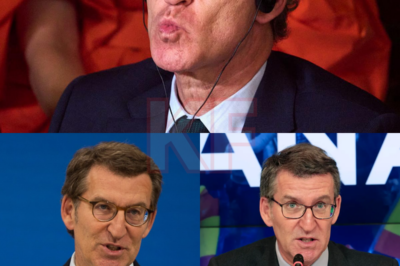 El silencio duró lo suficiente como para cargar el ambiente. Tras días de polémica por sus palabras sobre los andaluces, Feijóo decide hablar. No es una comparecencia cualquiera: cada frase se mide, cada gesto se analiza. ¿Rectificación real o control de daños? El contexto pesa, las reacciones previas siguen ardiendo y la herida no se cierra con facilidad. En Andalucía, el malestar permanece; en Madrid, el cálculo político se impone. Las explicaciones llegan cuando el debate ya ha tomado vida propia. Nadie escucha igual, nadie olvida rápido. Las redes no conceden tregua y los adversarios afilan el discurso. Romper el silencio no borra el eco. A veces, solo lo amplifica.