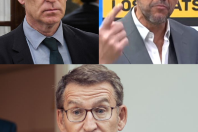 🔥 Javier Ruiz arrasa en TVE contra Feijóo por los whatsapps con Mazón y destapa “las tres mentiras” que desmontan un año de relato del PP.HH