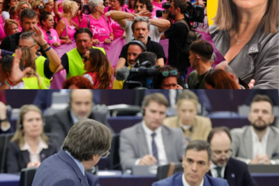 Un sector crítico estalla: “La última maniobra del presidente es sencillamente inaceptable” La tensión política ha alcanzado un nuevo punto de ebullición después de que voces indignadas acusaran a Sánchez de llevar su estrategia con Junts a un terreno que, según sus detractores, “rompe todos los límites imaginables”. El presidente, intentando recomponer puentes con el independentismo, admitió que Cataluña no recuperará una “normalidad total” mientras Puigdemont no esté de vuelta. Esta frase ha sido interpretada por algunos analistas como un giro tan arriesgado que no pocos lo consideran una maniobra desesperada, casi contradictoria con su propio discurso previo. El clima se ha cargado de sospechas, reproches y lecturas cruzadas. La pregunta que sobrevuela Madrid ahora es: ¿hasta dónde está dispuesto a llegar para mantener el tablero político bajo control?|TH
