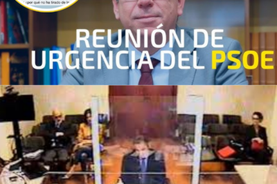 Fuentes cercanas a la investigación revelan que José Luis Ábalos llegó a los juzgados con una seguridad desconcertante, lanzando una declaración que hoy resuena como una auténtica bomba mediática:… Lo que entonces parecía un simple gesto de firmeza ahora se interpreta como la antesala de un terremoto político que nadie vio venir. La oposición exige explicaciones, sus antiguos aliados guardan silencio y los analistas coinciden: algo se rompió ese día. ¿Qué sabía realmente Ábalos? ¿Por qué esa frase se ha convertido en el epicentro de todas las sospechas? Las próximas revelaciones podrían cambiarlo todo|TH