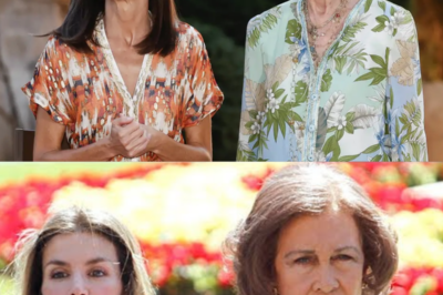 ¡POR FIN HABLA EL REY EMÉRITO! Tras años de silencio absoluto, Juan Carlos rompe el hermetismo y sorprende a toda España con su primera reacción al famoso manotazo de la reina Letizia a doña Sofía en Palma, un episodio que aún divide a la Casa Real y que millones recuerdan como uno de los momentos más incómodos de la monarquía moderna. El emérito no se muerde la lengua y lanza una frase que muchos interpretan como un dardo directo, dejando entrever tensiones internas que la Zarzuela nunca quiso reconocer. Su comentario —“Resultó ser un desastre”— abre más interrogantes que respuestas y reaviva un escándalo que parecía enterrado. ¿Por qué decide hablar ahora? ¿Qué pretende desvelar entre líneas? La intrahistoria promete sacudir otra vez los cimientos reales.|TH