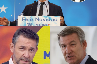 Las palabras de Feijóo sobre los andaluces han desatado una reacción que nadie en el PP vio venir. Javier Ruiz no solo cargó contra el líder de la oposición, sino que puso el foco en un detalle que ha hecho saltar la polémica fuera del terreno político. Cuando hasta voces inesperadas del mundo cultural entran en escena, el problema deja de ser una frase mal medida y se convierte en un golpe serio de reputación. Lo que empezó como una declaración más ha acabado convirtiéndose en un incendio difícil de apagar.|TH